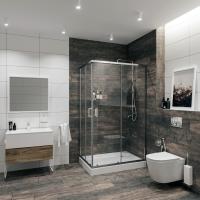 Душевой угол Niagara NG-6611-08 120x90