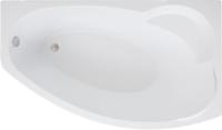 Акриловая ванна Aquanet Sofia 205553 169.5x100