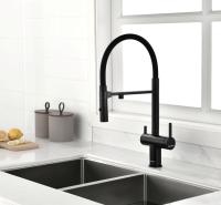 Смеситель для кухни Paulmark Gravity Gr213888-AN с подключением к фильтру антрацит