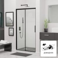 Душевая дверь RGW Leipzig LE-12B 34121217-14 170 см стекла прозрачные, профиль черный