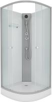 Душевая кабина без крыши Niagara Eco NG-4301-14ВК четверть круга  90x90 стекла матовые, профиль матовый хром