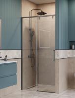 Душевая дверь BelBagno Soft Close-1 SOFT_CLOSE-1-BF-1-100-C-GM 100 см стекла прозрачные, профиль оружейная сталь