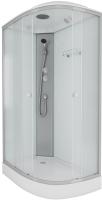 Душевая кабина с крышей Niagara Eco NG-4312-14L асимметричная  120x80 стекла матовые, профиль матовый хром