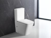 Унитаз напольный Terminus Ватикан 12F61x36W Rimless фарфор белый