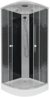 Душевая кабина с крышей Niagara Eco NG-4503-14 четверть круга  80x80 стекла прозрачные с узором, профиль матовый хром