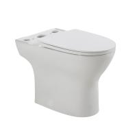 Чаша напольного унитаза BelBagno Lounge BB045CPR/SC цвет белый