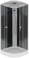 Душевая кабина с крышей Niagara Eco NG-4502-14 четверть круга  100x100 стекла прозрачные с узором, профиль матовый хром