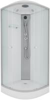 Душевая кабина с крышей Niagara Eco NG-4302-14 четверть круга  100x100 стекла матовые, профиль матовый хром