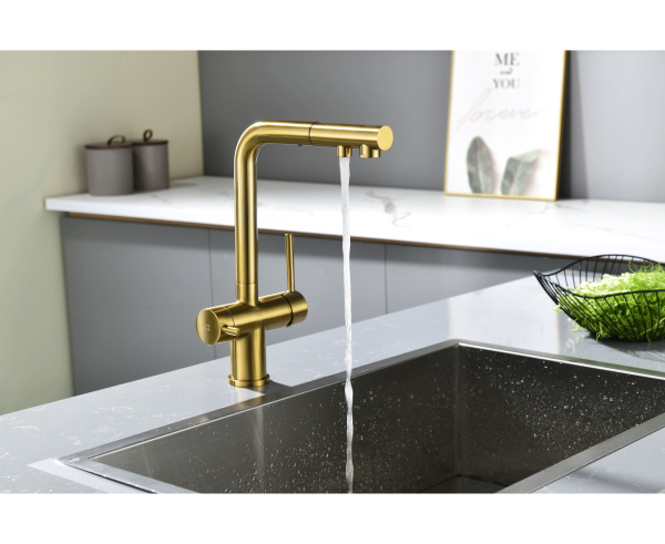 Смеситель для кухни Paulmark SERPENTINE Se213222-BG с подключением к фильтру брашированное золото