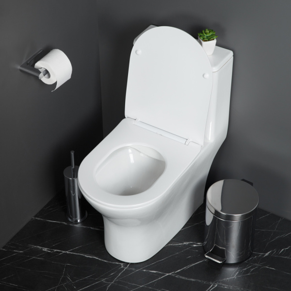 Унитаз напольный моноблок BelBagno Lounge BB8618CPR-MN/SC Rimless фаянс белый