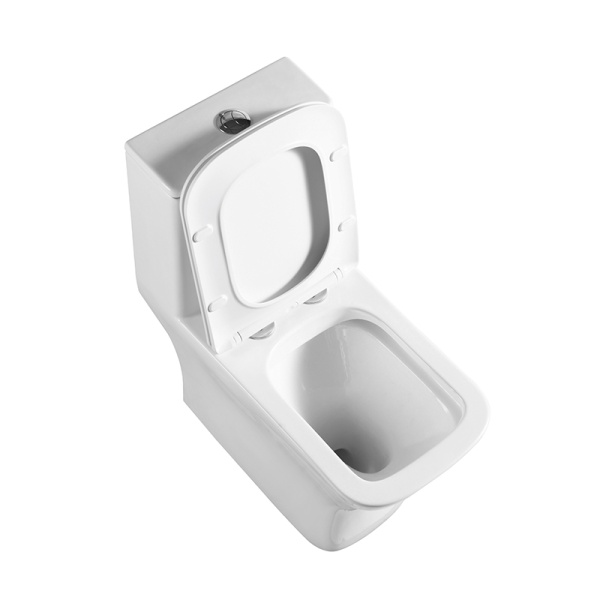 Унитаз напольный моноблок BelBagno Neon BB8617CPR-MN/SC Rimless фаянс белый