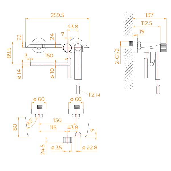 Гигиенический душ RGW Shower Panels 581408220-04 настенный черный