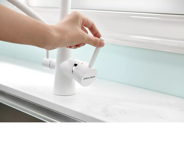 Смеситель для кухни Paulmark Siegen Si213111-WH с подключением к фильтру белый матовый