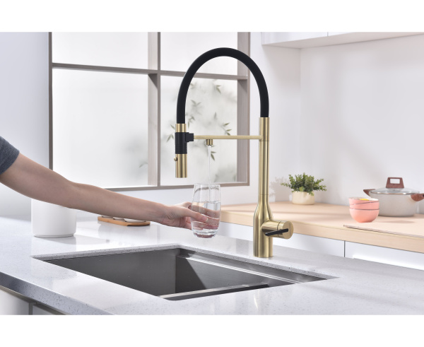 Смеситель для кухни Paulmark MAGNETO ONE Ma213188-LG с подключением к фильтру светлое золото