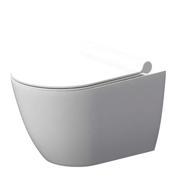 Унитаз подвесной Damixa Apollo DX22C1700SC Rimless фарфор белый