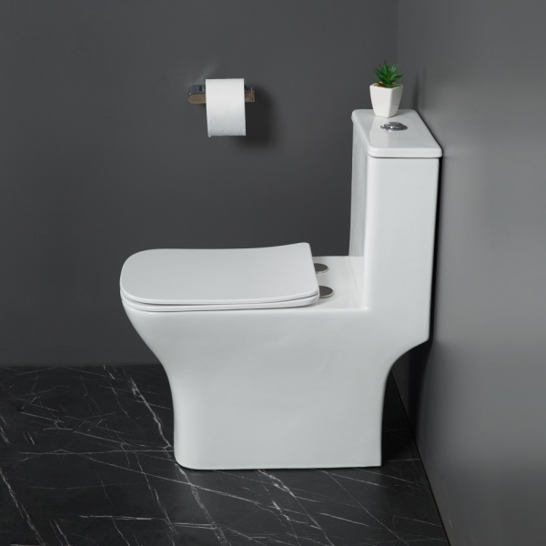Унитаз напольный моноблок BelBagno Neon BB8617CPR-MN/SC Rimless фаянс белый