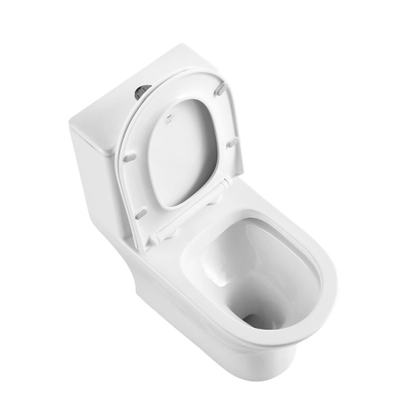 Унитаз напольный моноблок BelBagno Lounge BB8618CPR-MN/SC Rimless фаянс белый