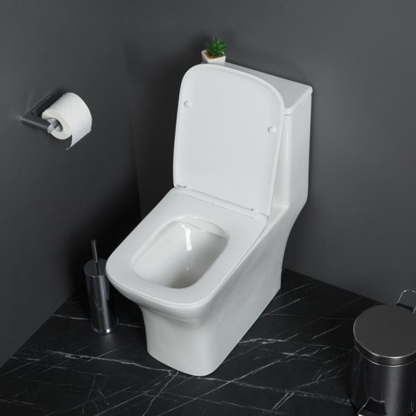 Унитаз напольный моноблок BelBagno Neon BB8617CPR-MN/SC Rimless фаянс белый