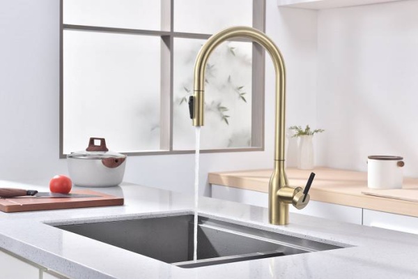 Смеситель для кухни Paulmark Universal Un213880-SBG с подключением к фильтру светлое брашированное золото