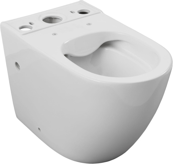 Чаша напольного унитаза Aquanet Cetus Cetus 2.0 C1 цвет белый