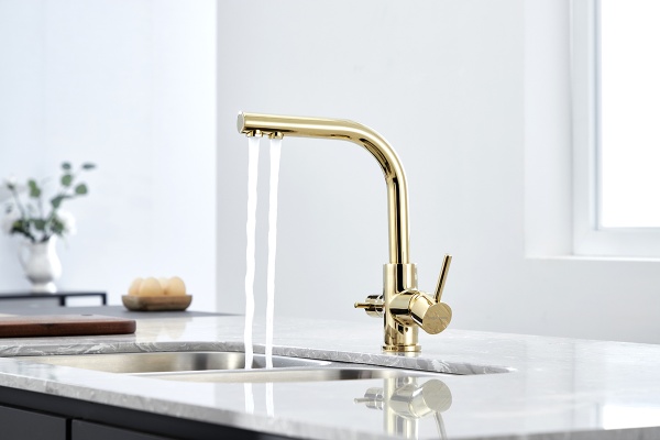 Смеситель для кухни Paulmark Essen Es213011-G с подключением к фильтру золото